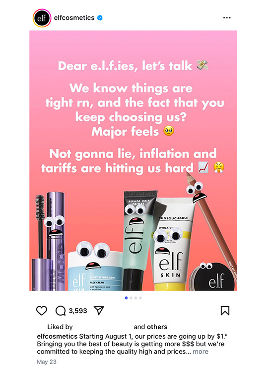 WSL Top Innovator featuring Elf Cosmetics email