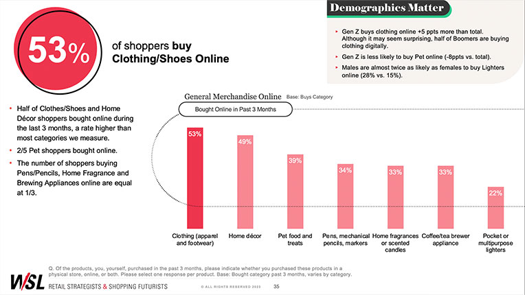 Paradox of the New Shopping World sample slide 2