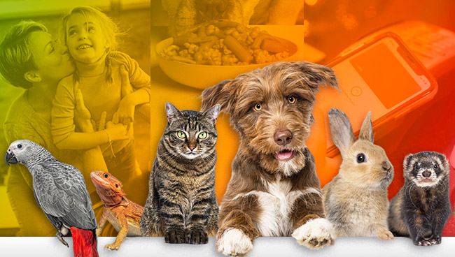 13 Pet Consumer Insights That Will Surprise You!